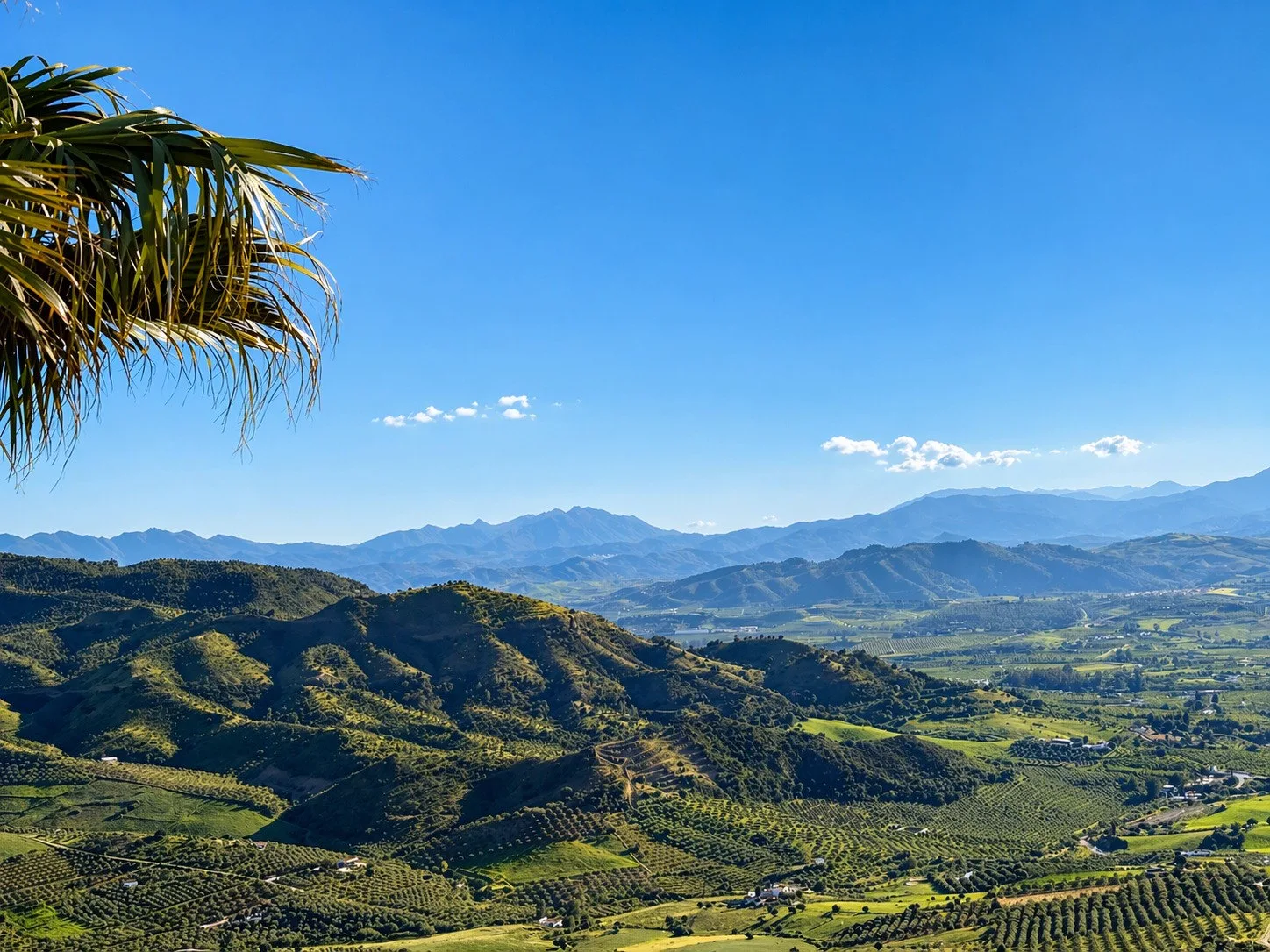 Rolling hills and valley views from Casa Lux